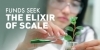 Funds seek the elixir of scale