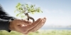 Swedish Ethical Council goes proactive