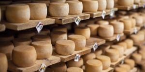 cheeses-WEB