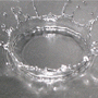liquidity